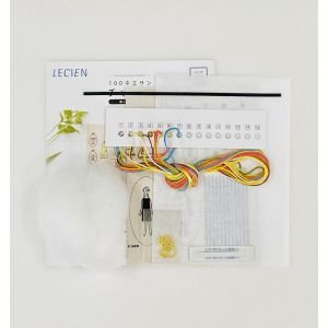 COSMO 100 Ladies Embroidery Charm Kit | Beginner Kit | Crafties Fair